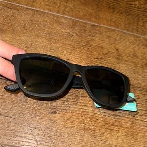 Classic Black Wayfarer Sunglasses with Matte Finish